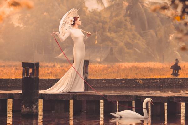 Photograph Quality Pixels Walking The Swan on One Eyeland